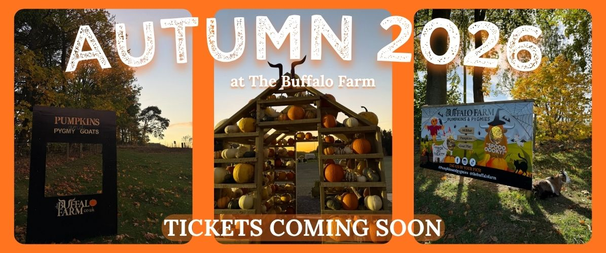 AUTUMN 2026