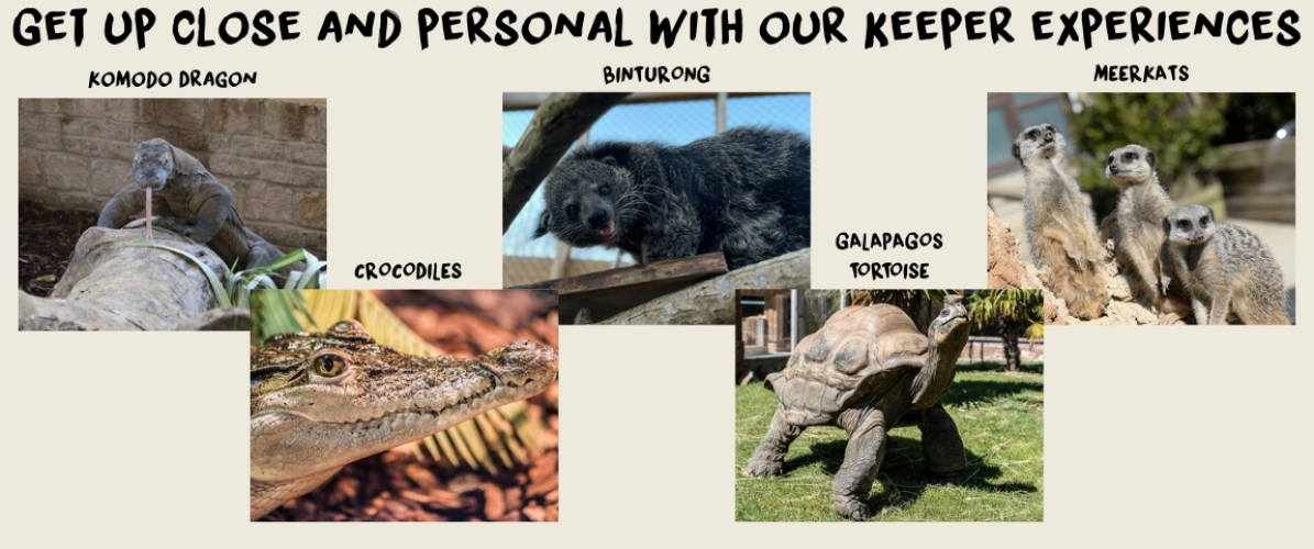 Keeper Experiences