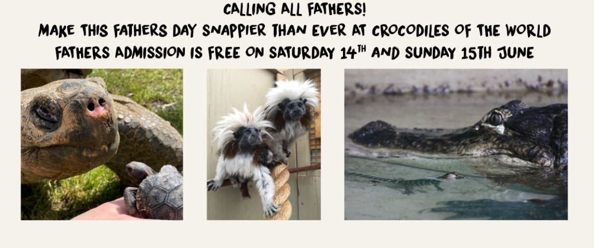 Fathers Day