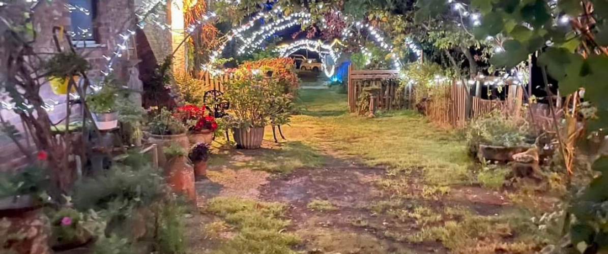 Enchanted Nights at Wylds Farm