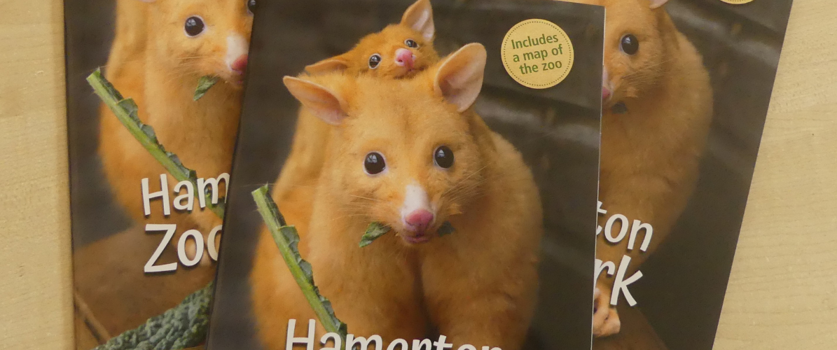 Guide Book