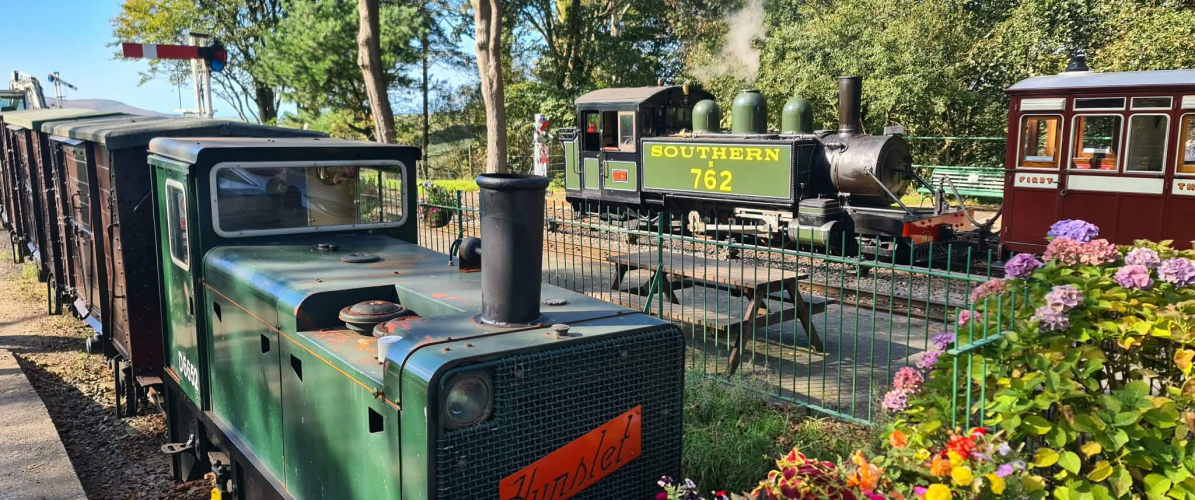 Mixed Traction Day