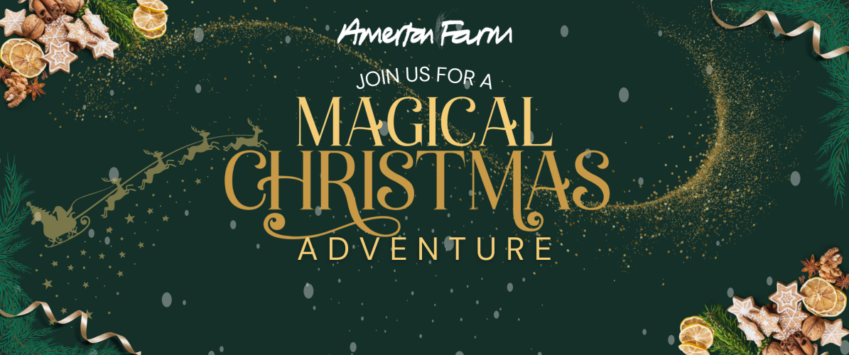 Magical Christmas at Amerton Farm