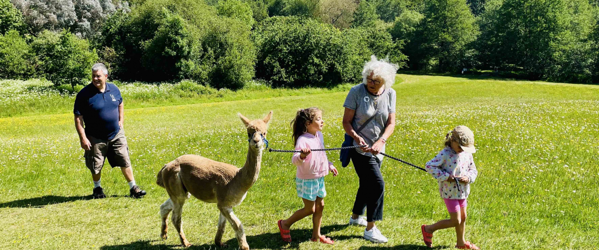 Alpaca Experience 2024 (use code ALPACA for 20% off day entry)