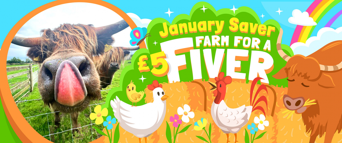 £5 January Saver Farm Admission