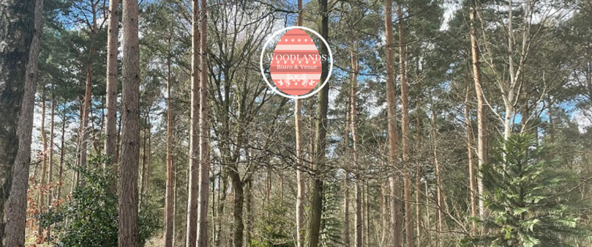 Woodlands Egg-cellent Hunt