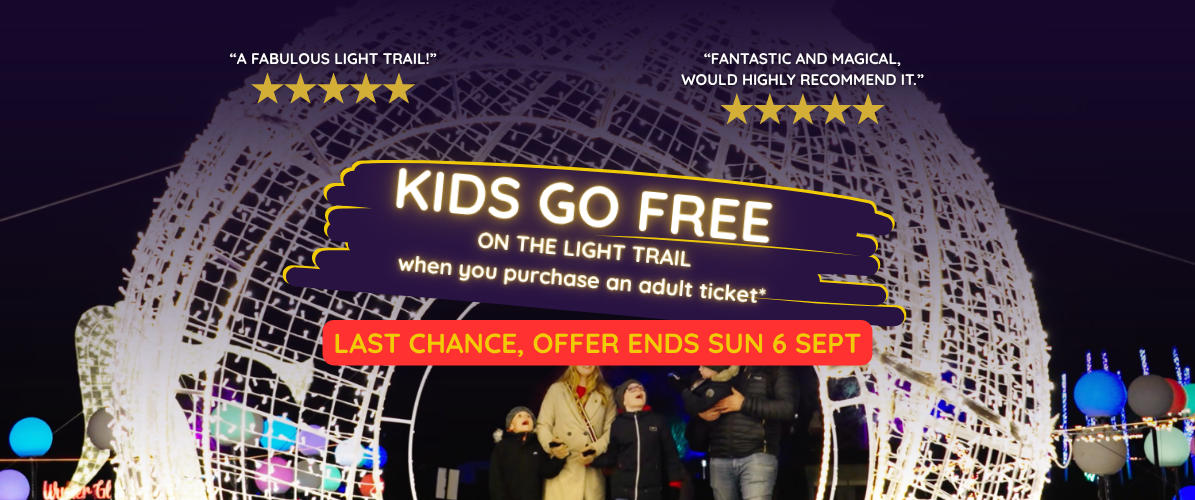 Illuminated Light Trail 2026
