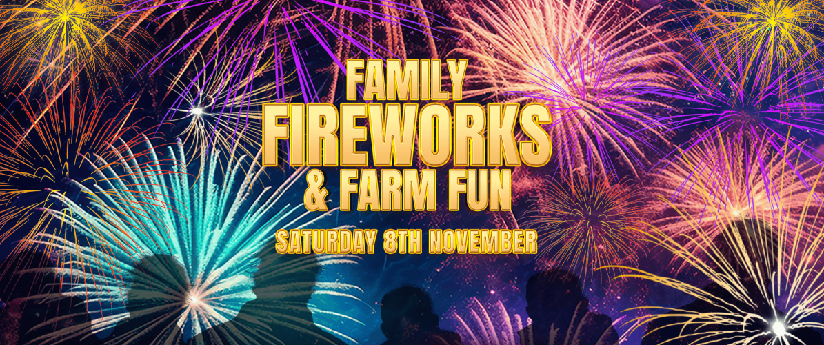 Family Fireworks