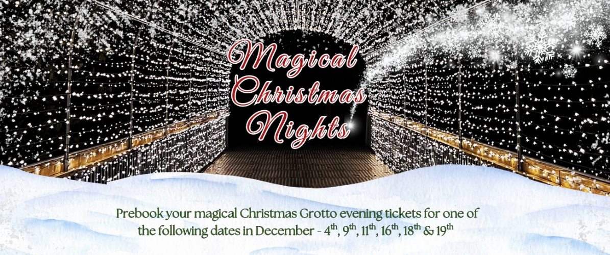 Magical Christmas Nights at Woodlands (Grotto Only, PARK CLOSED)