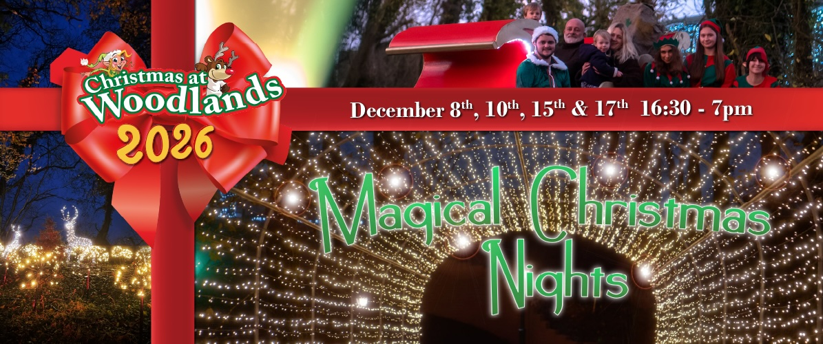 Magical Christmas Nights at Woodlands 2026 (Grotto Only, PARK CLOSED)