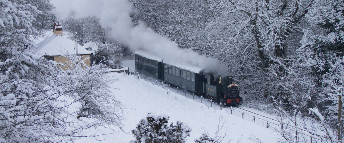 Mince Pie Trains: 28 - 30th December