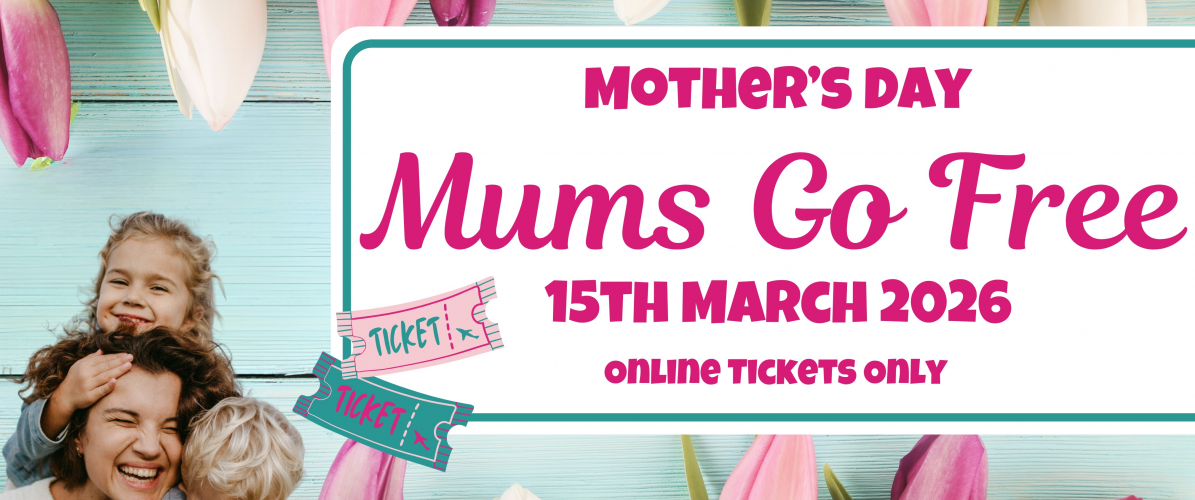 ONLINE OFFER Mother's Day 2026