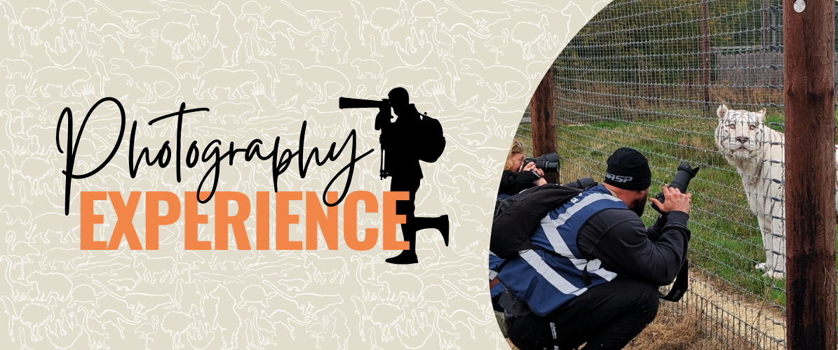Photography Experience
