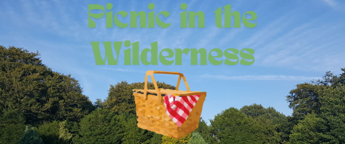 Picnic In The Wilderness
