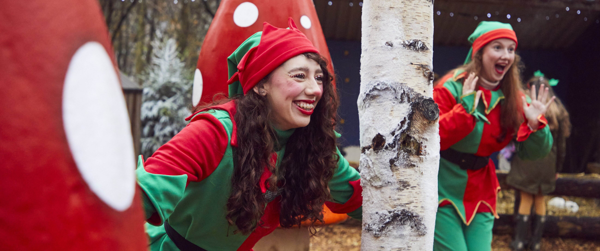 Magical Sleigh Rides 2026