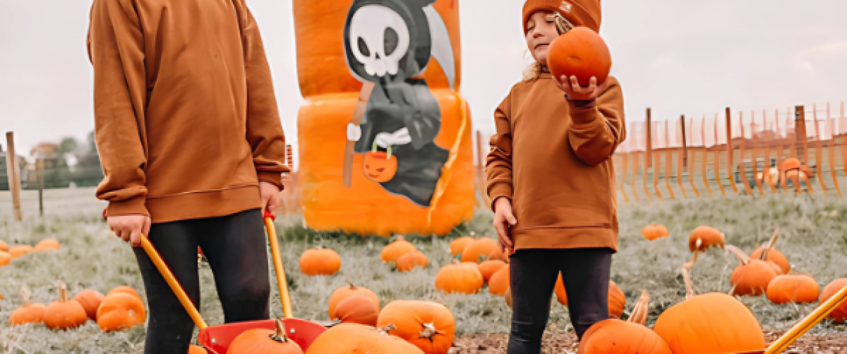 The Pumpkin Patch