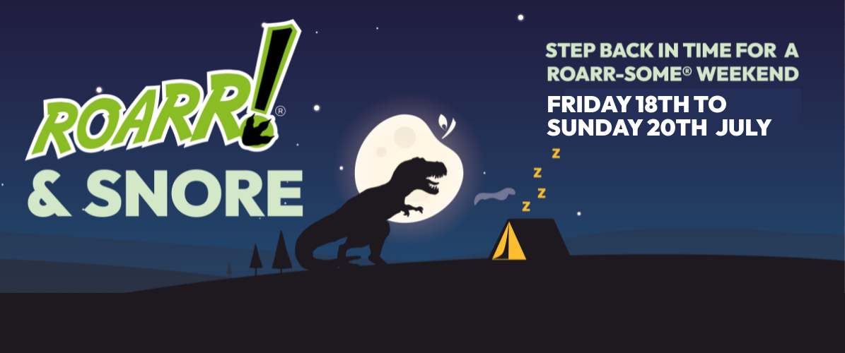 ROARR! & Snore