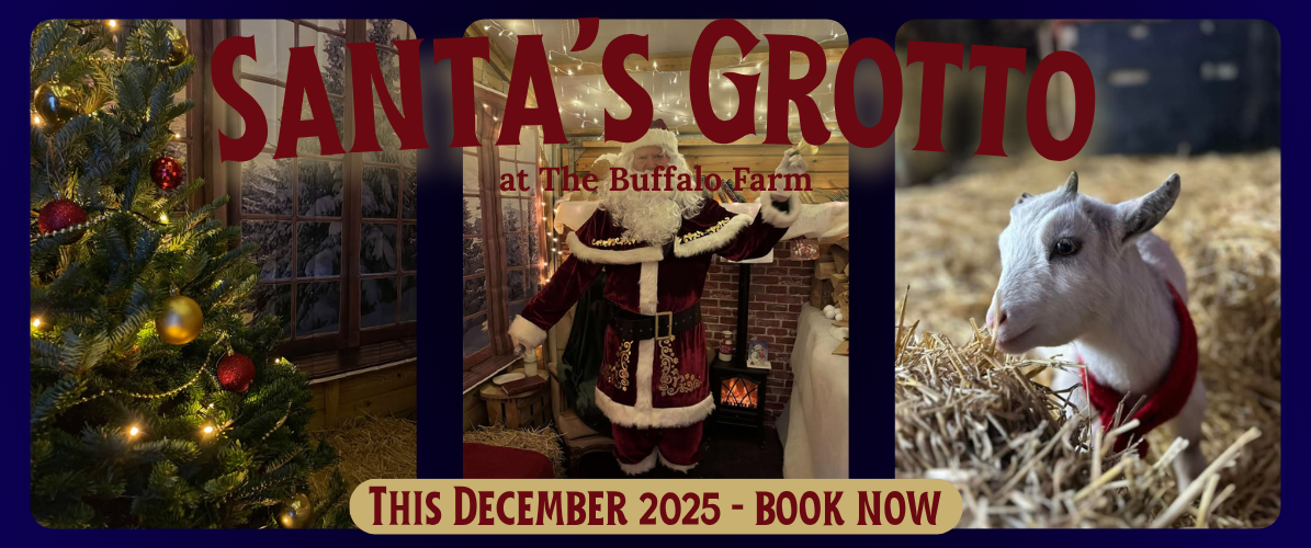 Santa's Grotto at the Buffalo Farm