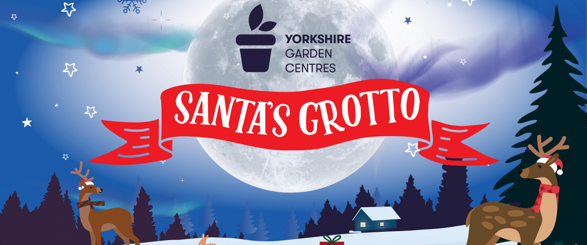 Christmas Grottos at Yorkshire Garden Centres