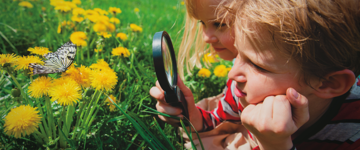 Nature Explorers