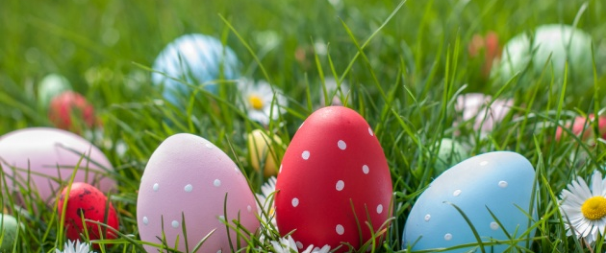 Easter At Castle Adventure open farm