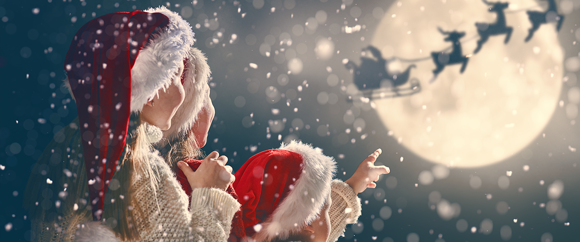 Visit the reindeers