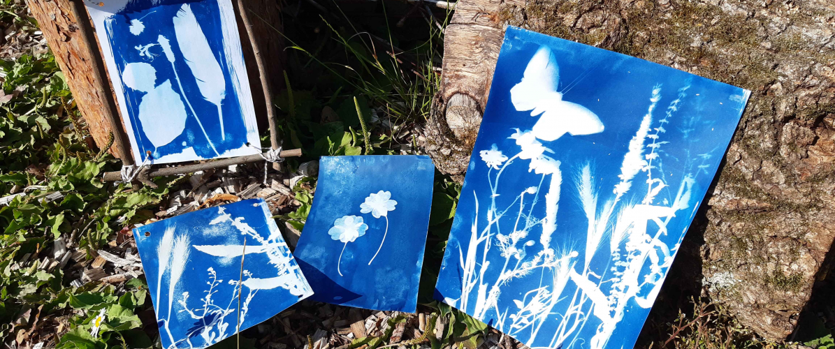 Cyanotype Printing Workshop - Adults