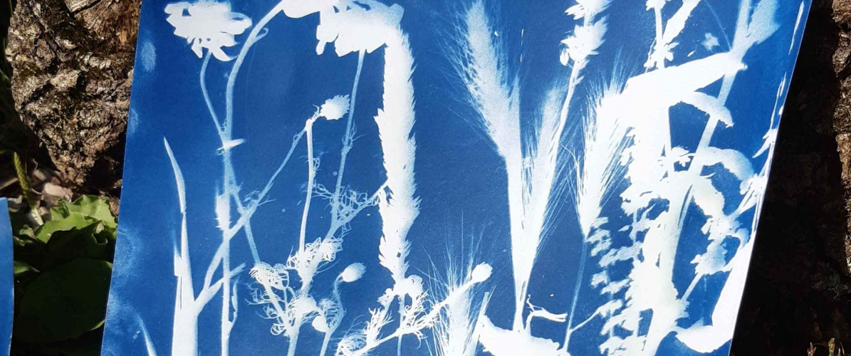 Cyanotype Printing Workshop - Families