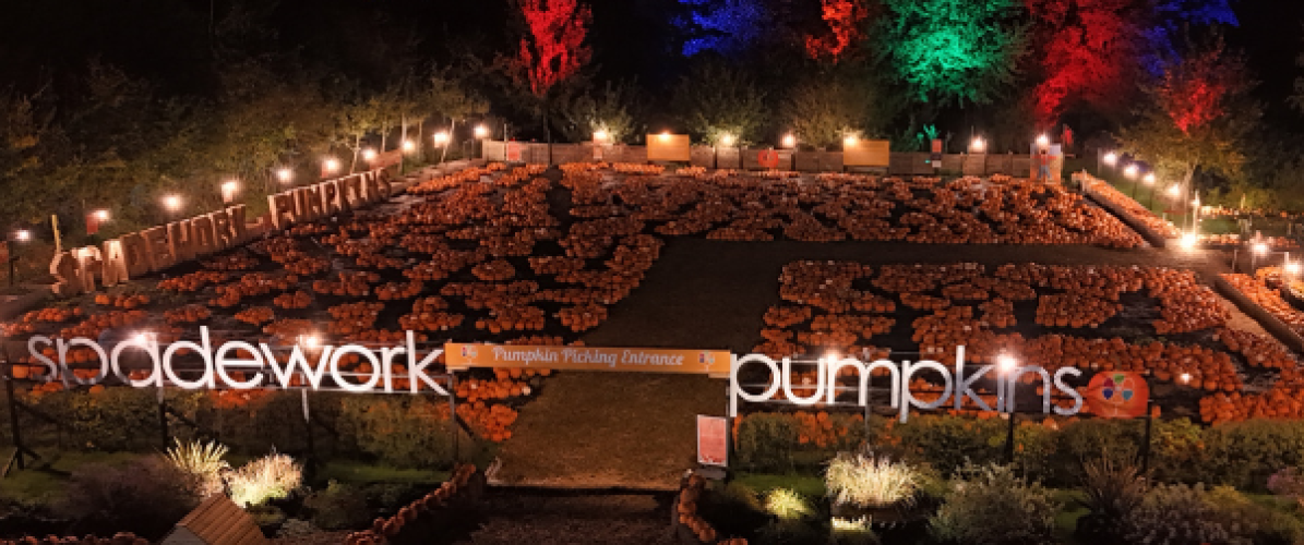 PYO Pumpkins By Torchlight at Spadework 2026