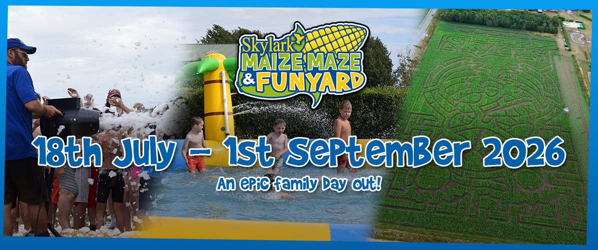 Summer Maize Maze & Funyard