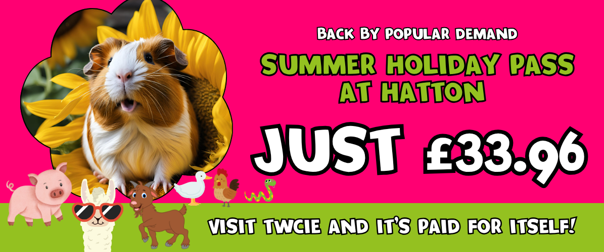 UNLIMITED Summer Holiday Season Pass - (Valid for dates between July 18th - Sept 1st 2026)