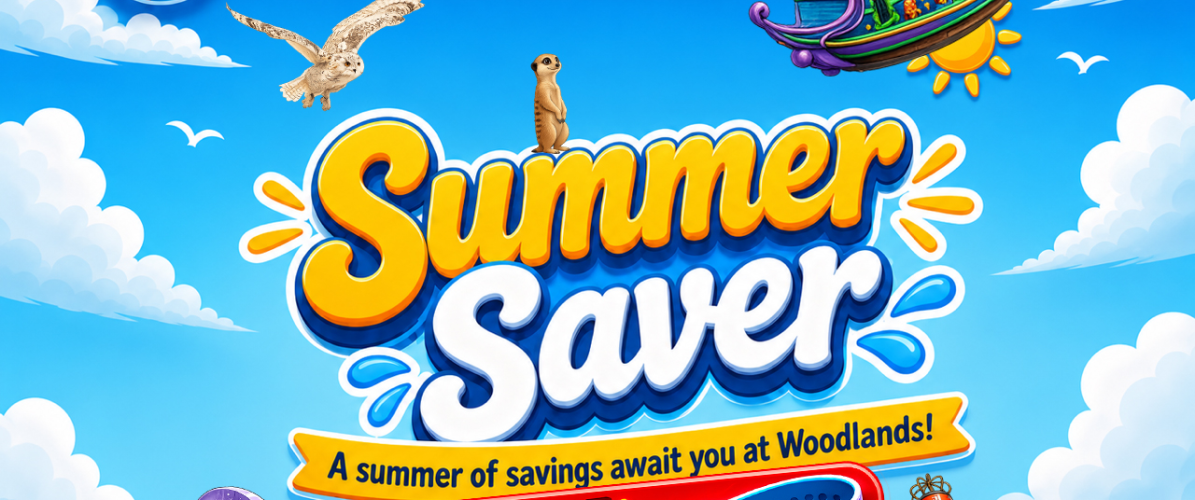 Summer Saver 7 day Wristband 25th June - 1st September