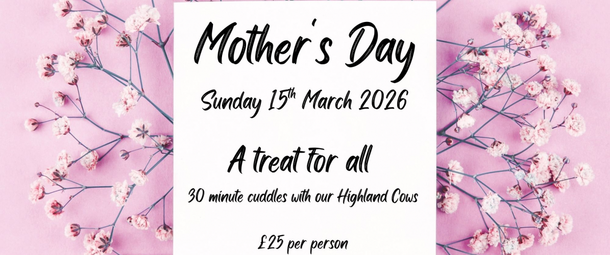 Mothers Day Sunday 15th March 2026