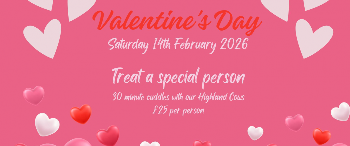 Valentines Day Saturday 14th February 2026