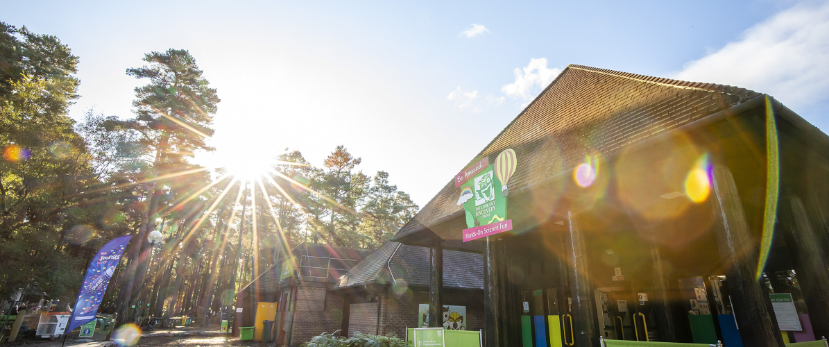 Summer Savings Admissions