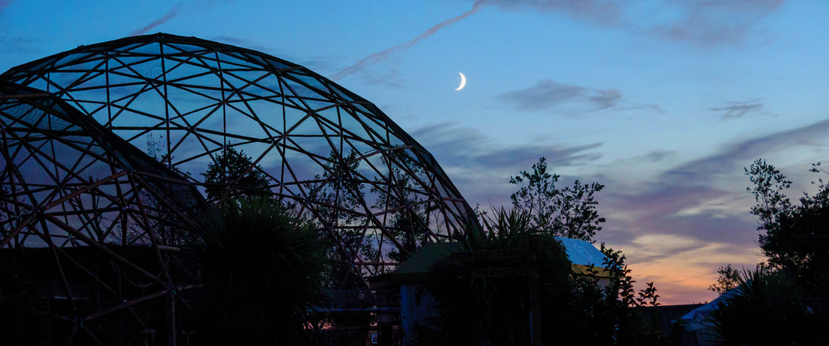 Twilight Safaris!