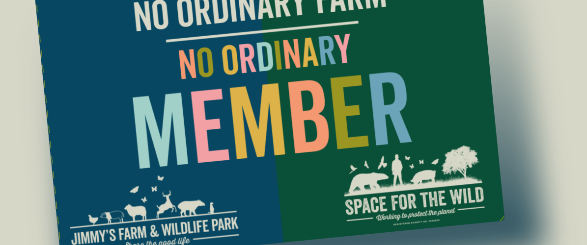 Space for the Wild – Wild Pass Upgrade