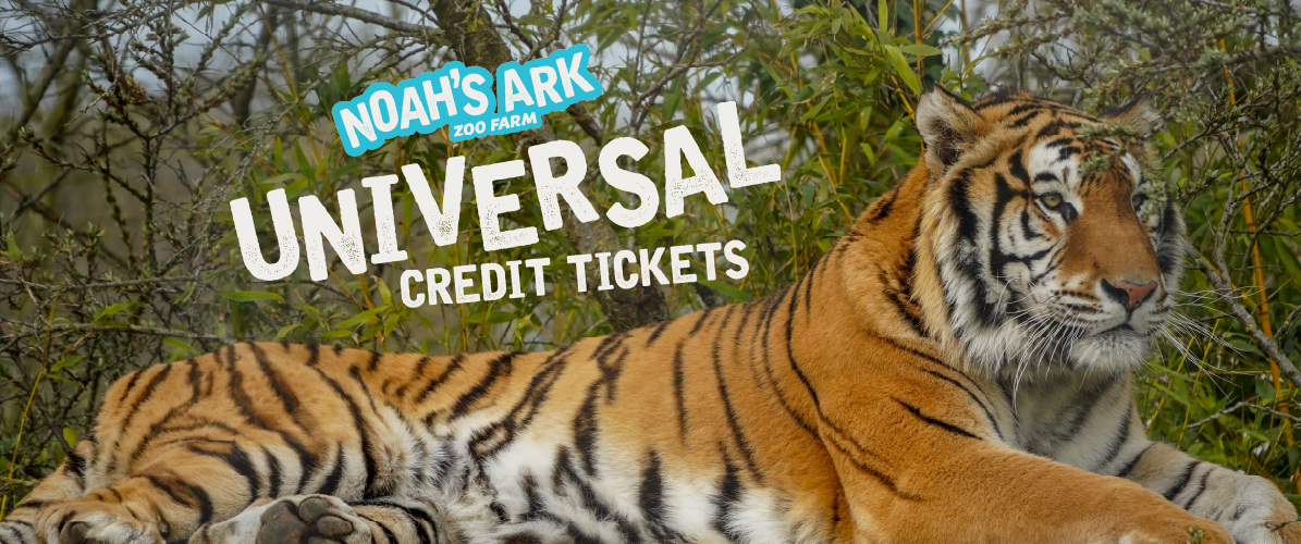 Universal Credit Tickets