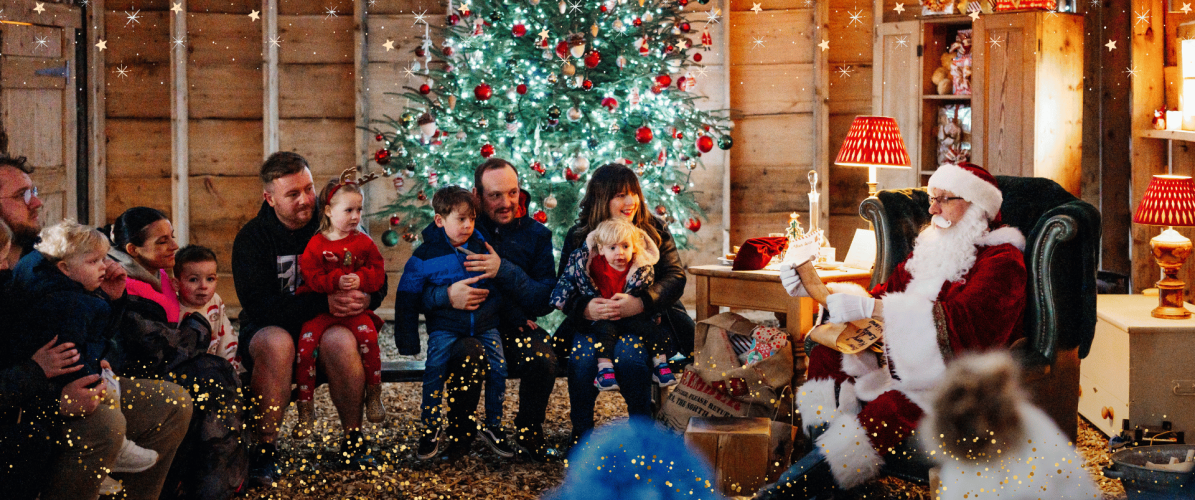 William's Christmas Experience 2026