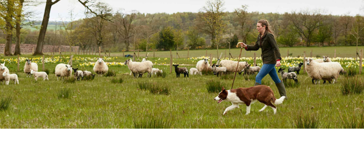 Farming and Rural Skills