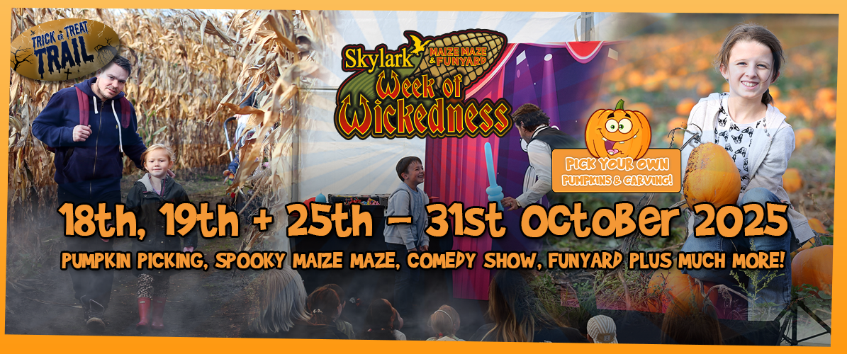 Week of Wickedness - Halloween Maze & Funyard