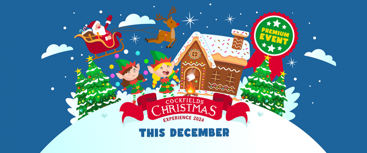 Christmas Experience 2024 - EARLY BIRD SALE NOW ON!