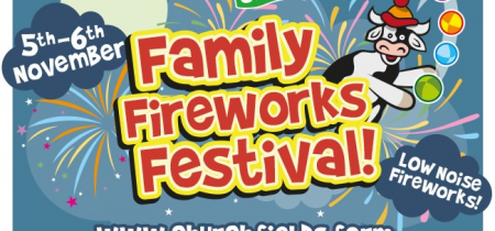 Family Fireworks Festival 2022