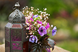 Summer Floral Lantern - Woburn
