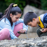 Fossil Hunting
