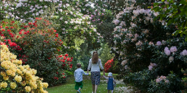 Friends of Castle Kennedy Gardens Zone