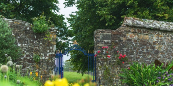 Clovelly Court Gardens