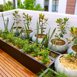 EXTRA SPACES Gardening in Small Spaces - 20th June
