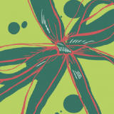 Gift Vouchers