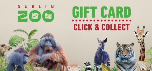 Buy Gift Cards - Click And Collect Online - Dublin Zoo